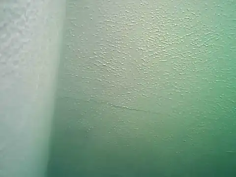 SexDiffrent online show from February 2026 01:55:01 PM