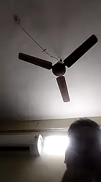 rajlocal online show from January 2025 04:20:01 PM