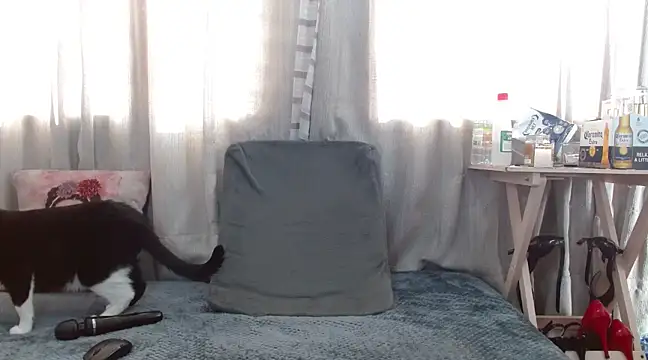 Snapshot of Boonny_Boo01 chatting on February 2025 01:41:01 PM Boonny Boo01 online show from February 2025 01:41:01 PM