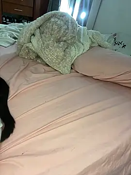 Snapshot of Laura_takint chatting on January 2025 05:33:01 PM Laura takint online show from January 2025 05:33:01 PM