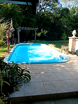 Snapshot of dutra498 chatting on February 2026 11:59:01 AM dutra498 online show from February 2026 11:59:01 AM