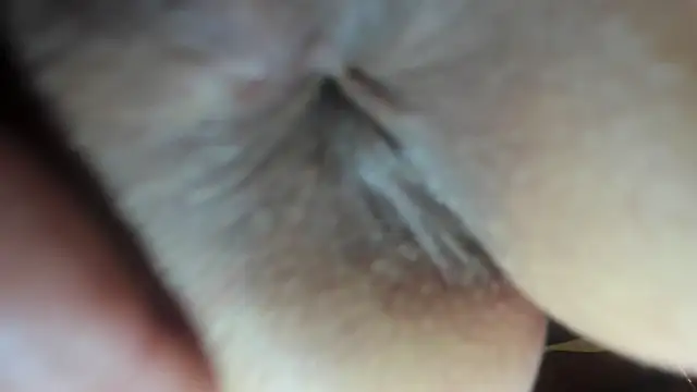 FrumCake online show from December 2024 03:47:01 AM