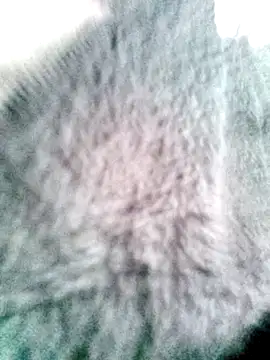 Snapshot of __valentina18 chatting on March 2025 07:46:01 PM valentina18 online show from March 2025 07:46:01 PM