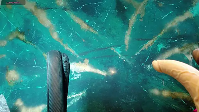 julieth sex1 online show from September 2025 04:50:02 AM