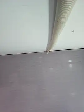 Snapshot of sweet_lucia chatting on March 2026 09:21:01 PM sweet lucia online show from March 2026 09:21:01 PM