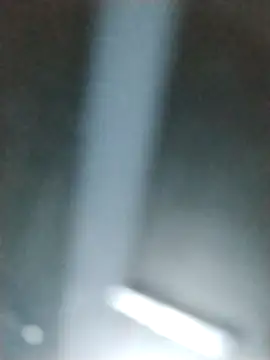 Yankeedave420 online show from February 2026 01:47:01 PM