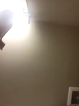 gdawg78 online show from February 2026 06:48:01 PM