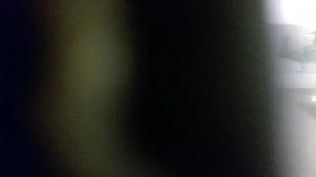 palidin1 online show from February 2026 07:51:02 AM