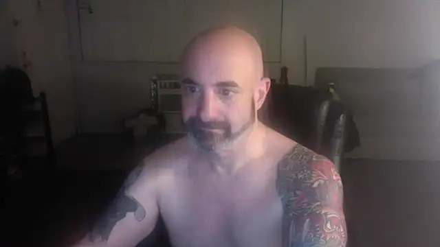 palidin1 online show from February 2026 05:01:02 AM