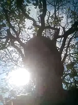 Snapshot of Mohni_Das chatting on March 2026 07:47:02 AM Mohni Das online show from March 2026 07:47:02 AM