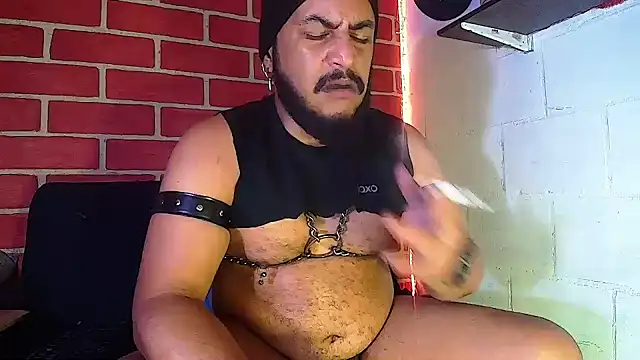 the master foal  online show from January 2025 11:39:02 AM