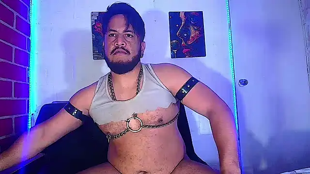 the master foal  online show from February 2025 07:10:01 AM