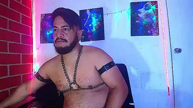 the master foal  online show from March 2025 07:30:01 AM