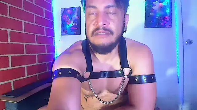 the master foal  online show from March 2025 04:57:02 AM