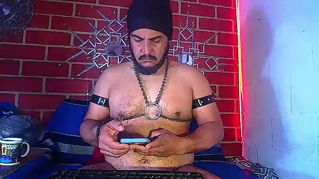 the master foal  online show from March 2025 12:12:01 PM