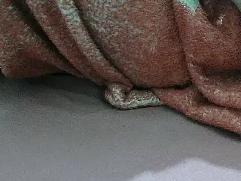 FUN4TIPS online show from March 2025 06:37:02 AM