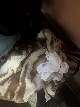 Snapshot of falooda288 chatting on January 2026 08:41:01 AM falooda288 online show from January 2026 08:41:01 AM