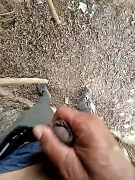 breejs online show from October 2025 06:02:02 AM