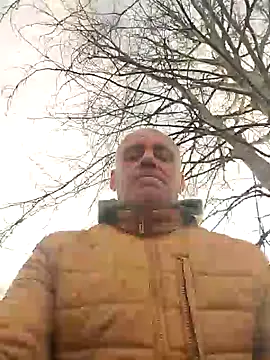 wilkalfa online show from December 2024 11:13:01 AM