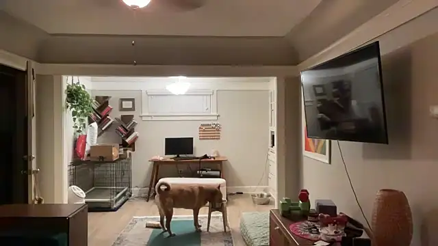 dreamyriri online show from March 2026 01:06:02 PM