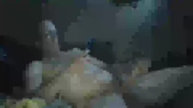 Snapshot of Wyley@xh chatting on September 2025 08:28:01 AM Wyleyxh online show from September 2025 08:28:01 AM