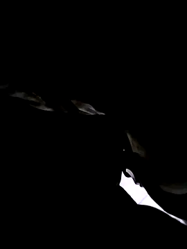 Snapshot of 74bob chatting on September 2025 04:25:02 AM 74bob online show from September 2025 04:25:02 AM