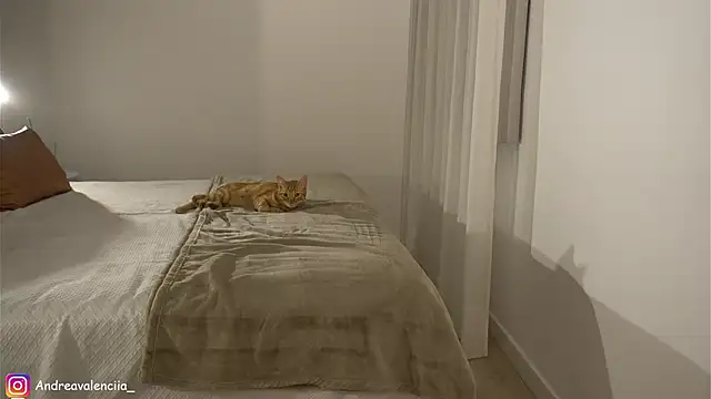 Snapshot of kendall_ruiz chatting on March 2025 08:23:02 PM kendall ruiz online show from March 2025 08:23:02 PM