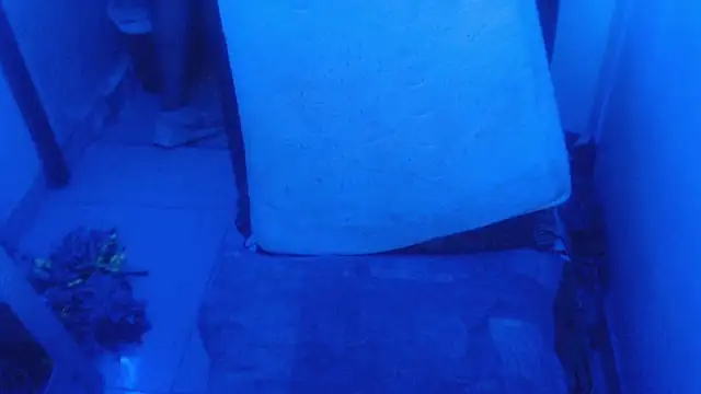 selenax2023 online show from February 2026 11:03:02 PM