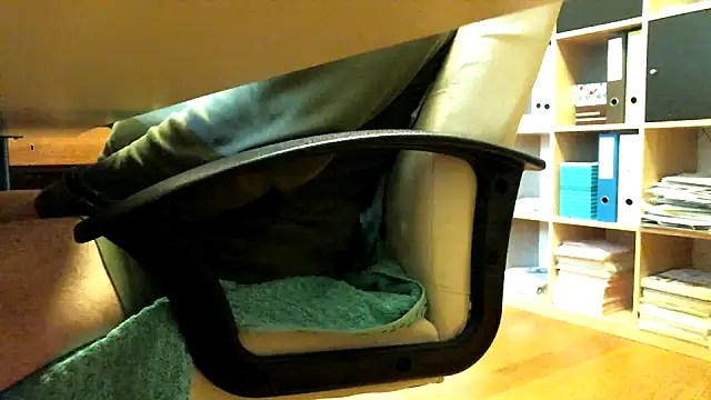 Snapshot of leccaleccafiga chatting on April 2026 03:20:02 PM leccaleccafiga online show from April 2026 03:20:02 PM