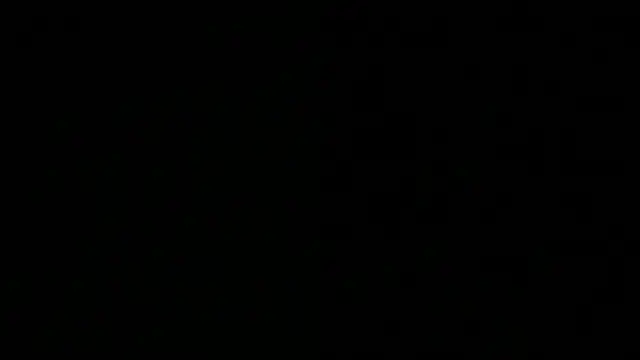 EvaEvangeline online show from February 2025 08:24:02 AM