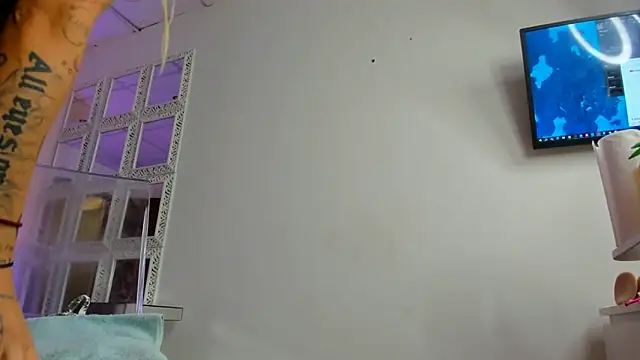 Snapshot of LisaAkira chatting on January 2025 05:58:01 PM LisaAkira online show from January 2025 05:58:01 PM