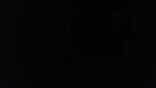 harry reems1 online show from January 2025 09:40:02 AM