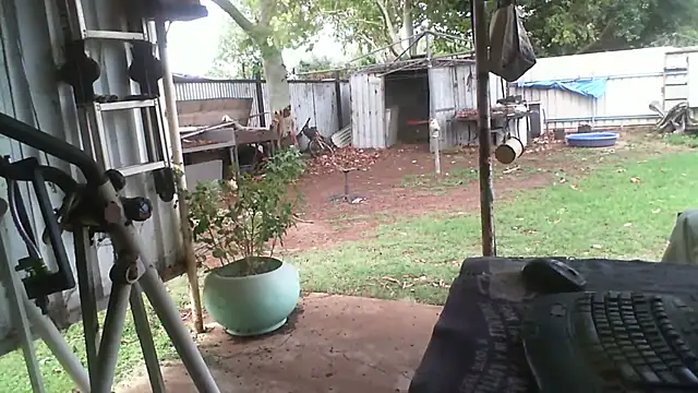 herbie010666 online show from November 2025 04:25:02 AM