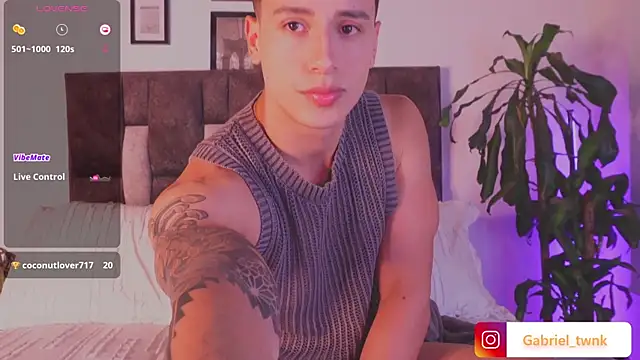 Snapshot of I_Gabriel chatting on July 2026 03:52:01 AM I Gabriel online show from July 2026 03:52:01 AM