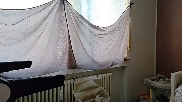 wetgerman 2 online show from September 2025 02:33:01 PM