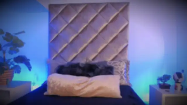 malaia hills online show from November 2025 06:40:02 PM