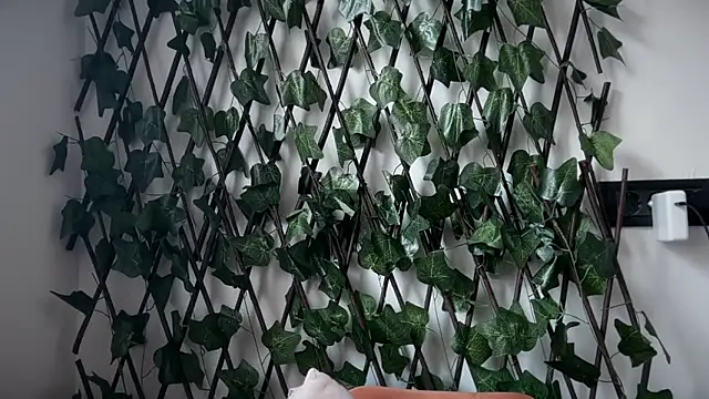 Snapshot of karo123421 chatting on February 2026 08:29:01 AM karo123421 online show from February 2026 08:29:01 AM