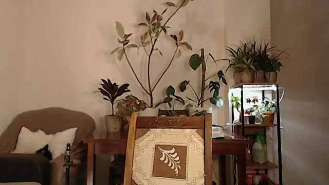 Herman Elfi online show from March 2025 11:16:01 PM