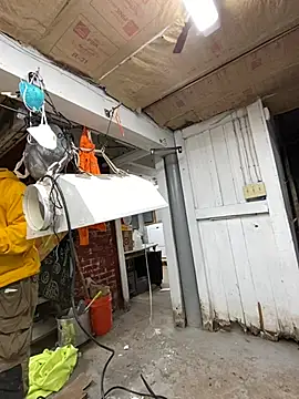 charactrzero online show from December 2024 09:51:01 PM