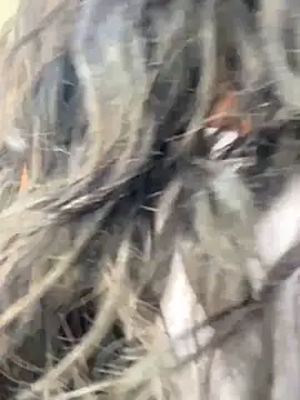 bea3liz online show from December 2024 05:52:02 PM