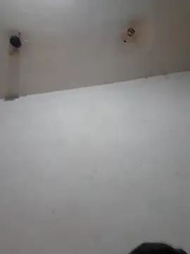 Snapshot of Calamaco07 chatting on February 2026 06:23:01 AM Calamaco07 online show from February 2026 06:23:01 AM