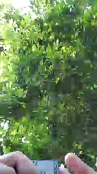 Snapshot of pene8991 chatting on January 2025 07:16:01 PM pene8991 online show from January 2025 07:16:01 PM