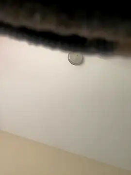 Iced cloudz online show from December 2025 03:17:01 PM