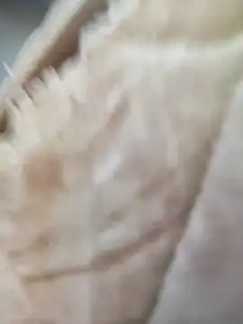 Comedordecu0289 online show from September 2025 02:29:02 PM