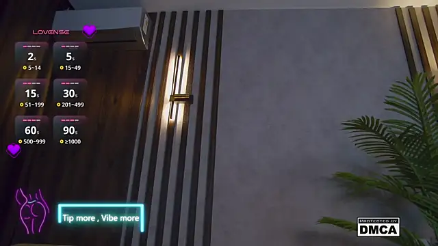 Snapshot of Holl1Would chatting on February 2025 10:17:02 PM Holl1Would online show from February 2025 10:17:02 PM