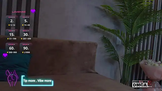 Snapshot of Holl1Would chatting on February 2025 08:03:01 PM Holl1Would online show from February 2025 08:03:01 PM