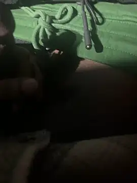 Snapshot of dingoding chatting on January 2025 11:34:02 AM dingoding online show from January 2025 11:34:02 AM