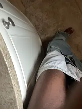 Snapshot of dingoding chatting on April 2026 07:31:02 PM dingoding online show from April 2026 07:31:02 PM