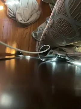 Snapshot of dingoding chatting on April 2026 03:02:01 PM dingoding online show from April 2026 03:02:01 PM