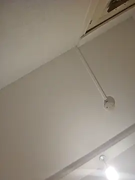 Snapshot of mario890605 chatting on December 2024 09:36:02 PM mario890605 online show from December 2024 09:36:02 PM